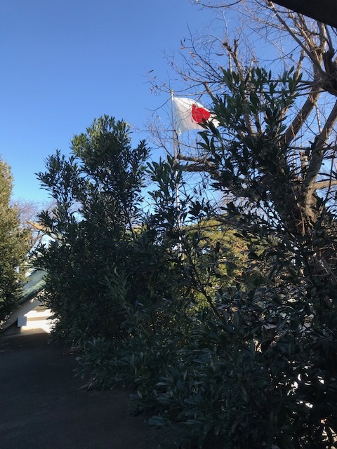 社務所から臨む日の丸